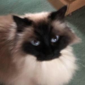 Meet your Posher, Barb